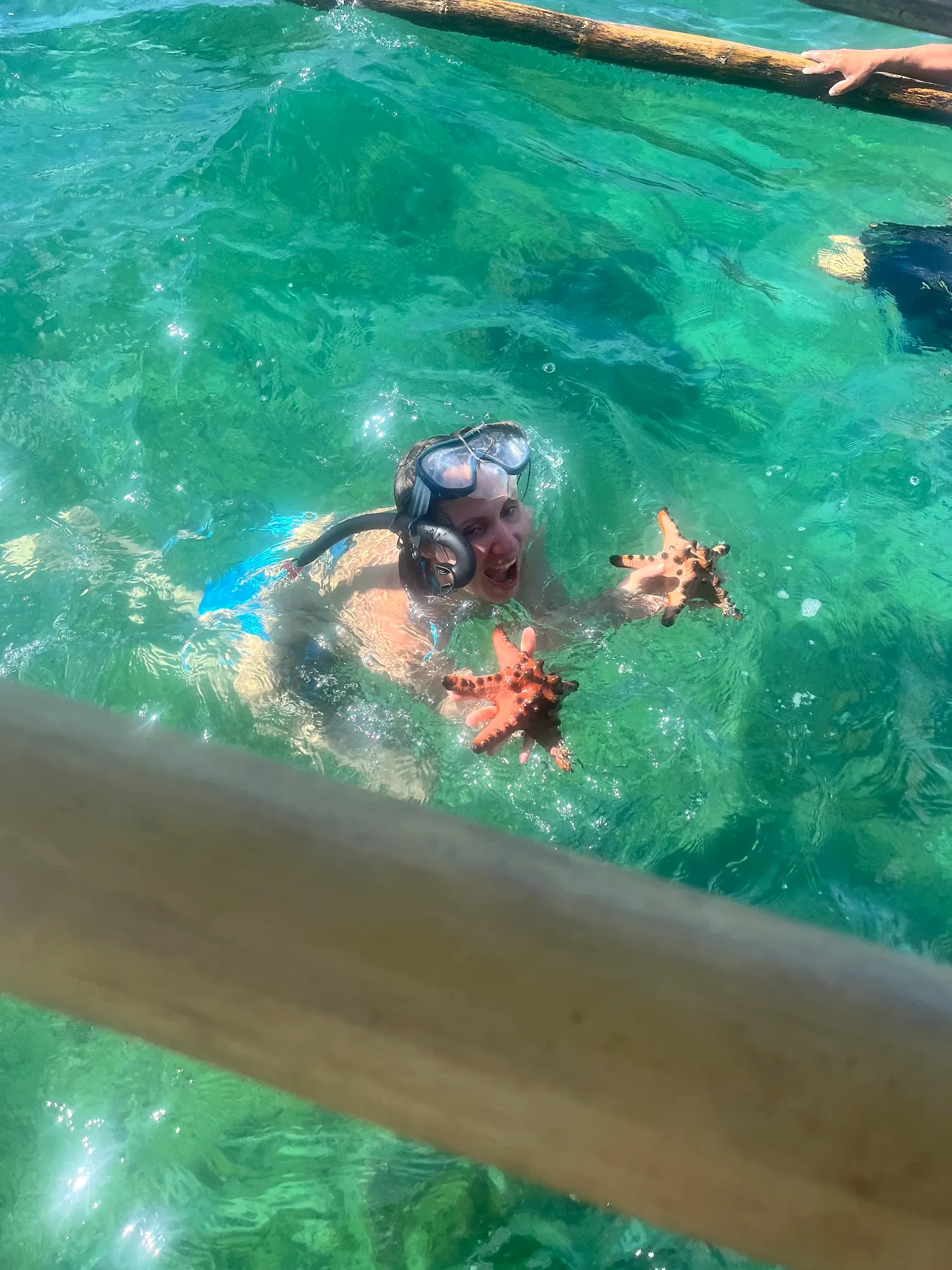 Snorkeler with starfish in the clear waters of Pilar Bay