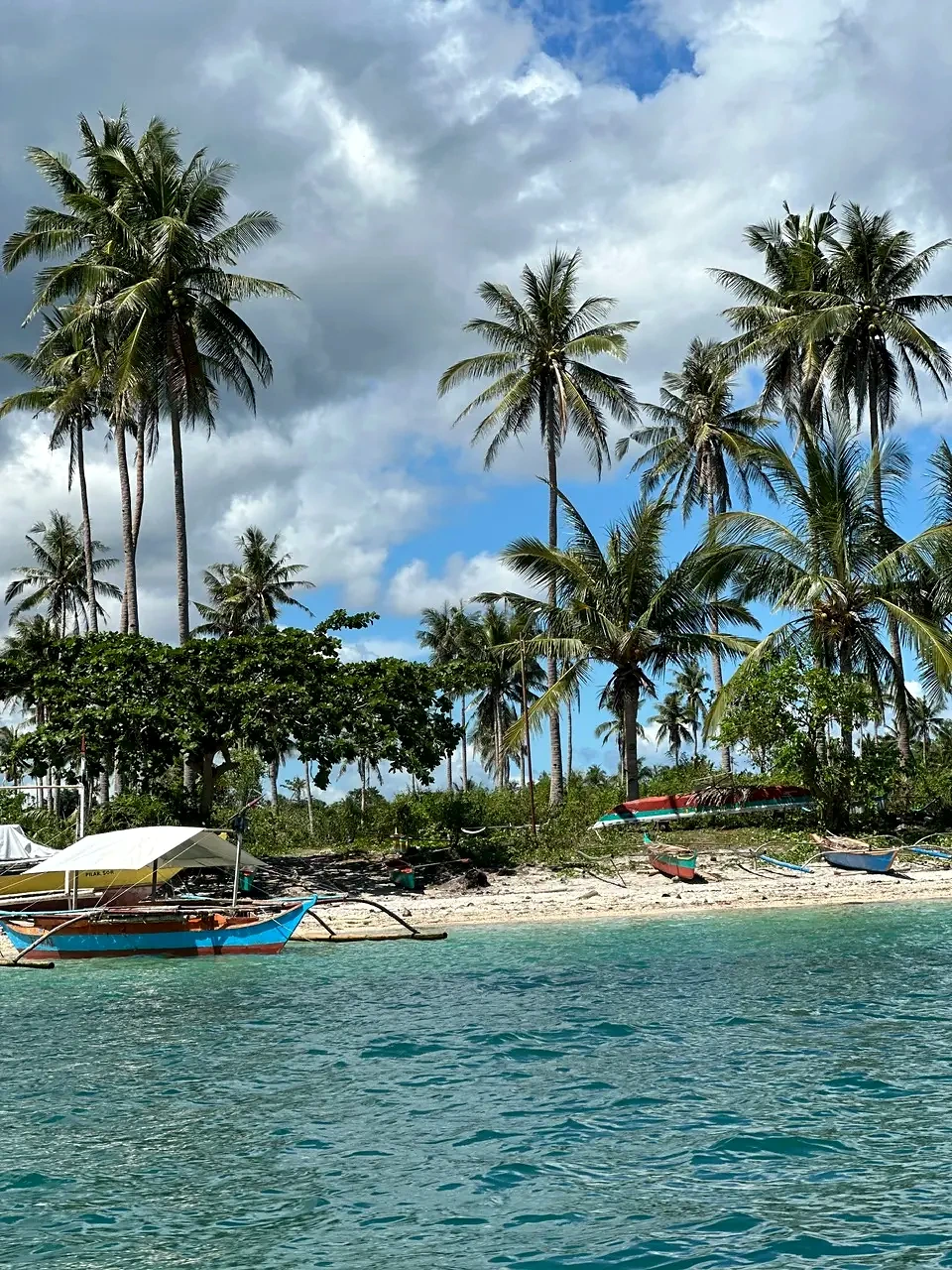 Palm-lined wild beach near Tingco in Pilar, Sorsogon